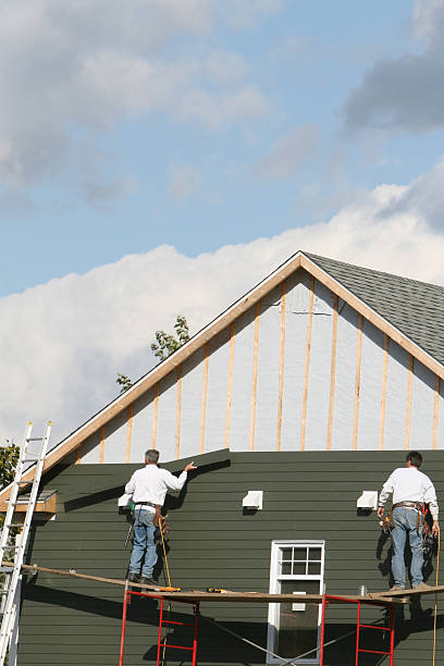 Best Custom Trim and Detailing for Siding  in Rich Hill, MO